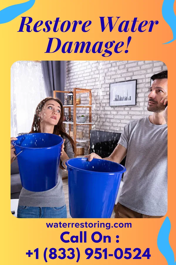 water restoration Royal Water Works LLC Elkton