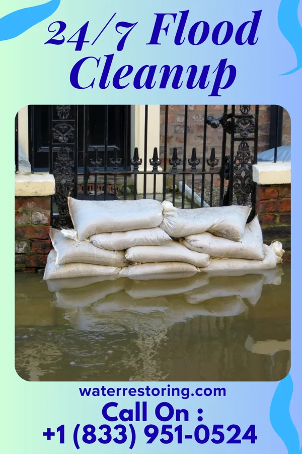 24/7 Flood Cleanup in Elkton, TN