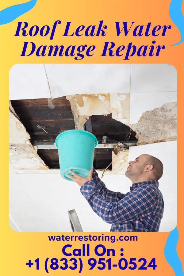 Roof Leak Water Damage Repair in Elkton, TN