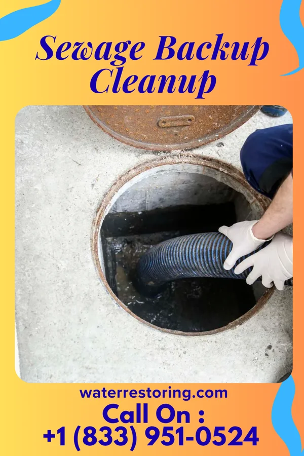 Sewage Backup Cleanup in Elkton, TN